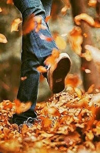 عکس پروفایل مردانه پاییزی