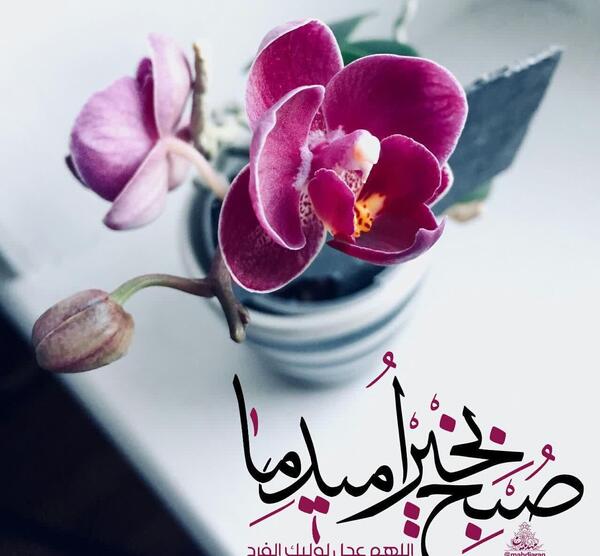 عکس با کیفیت صبح