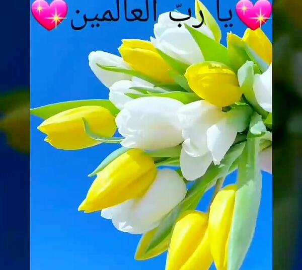 عکس ذکر روز شنبه کودکانه