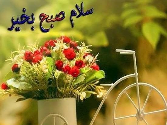 عکس و تصویر صبح