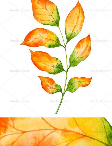 عکس گرافیکی برگ پاییزی
