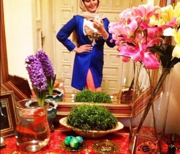 عکس خانه ی الناز شاکردوست