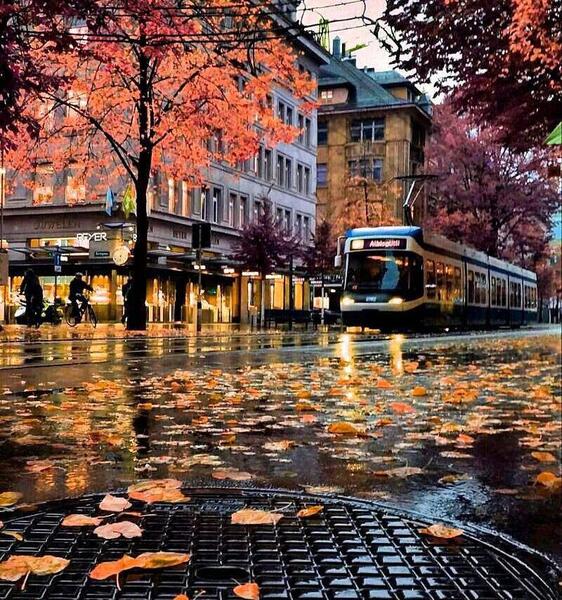 عکس پاییز خارجی