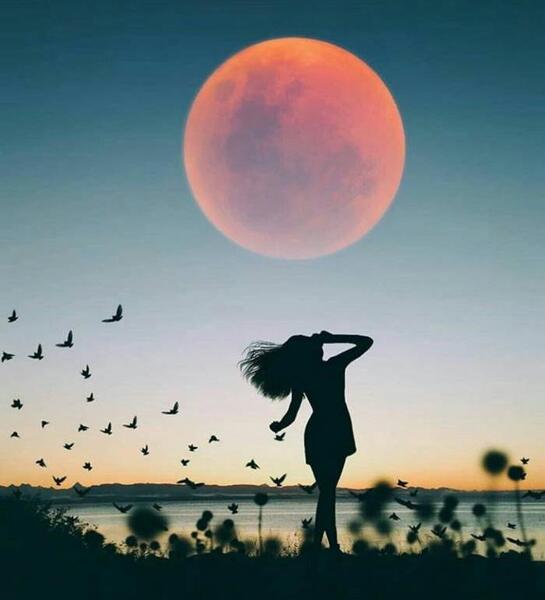 عکس پروفایل خاص شیک