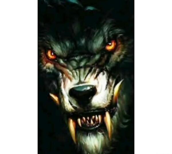 عکس پروفایل خفن گرگ
