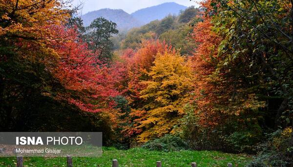 عکس پاییز جنگل های گلستان
