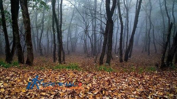 عکس پاییز جنگل های گلستان