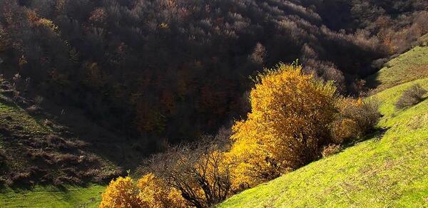 عکس پاییز گردنه حیران