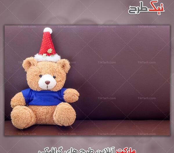 عکس خرس زامبی