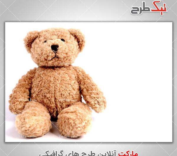 عکس خرس زامبی