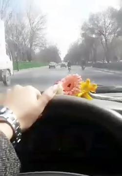 عکس پشت فرمان دخترانه