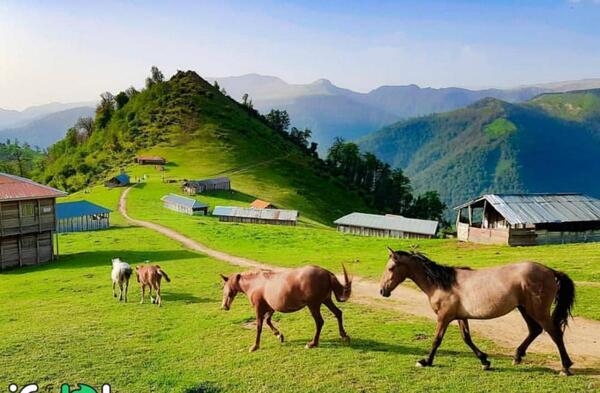 عکس مکانهای دیدنی ضیابر