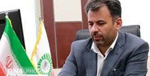 عکس حسن مزبانی پور