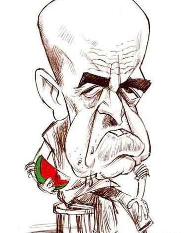 عکس کاریکاتور حمید لولایی