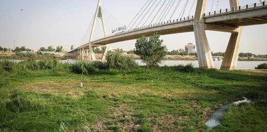 عکس لب کارون