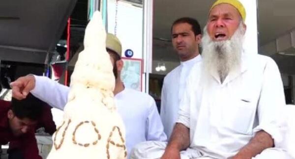 عکس شیر یخی