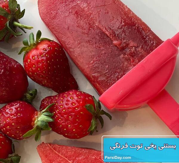 عکس شیر یخی