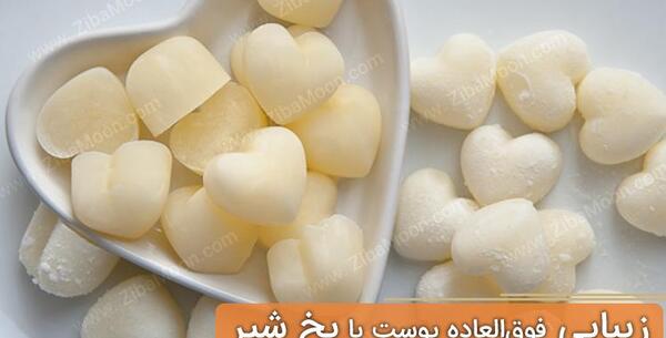 عکس شیر یخی