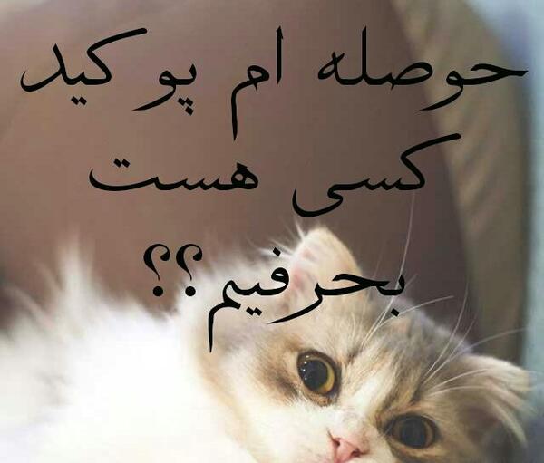عکس طنز گروه واتساپ