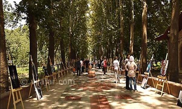عکس پیاده روی کرج