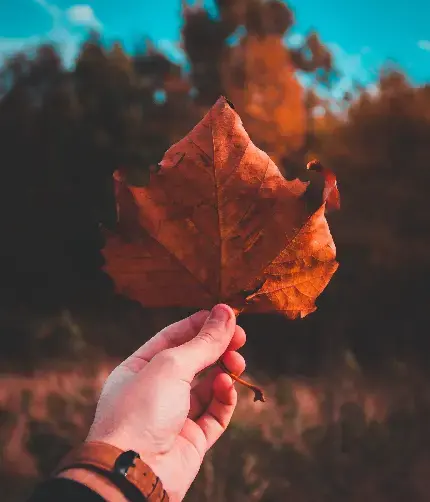 عکس پروفایل دخترونه اسپرت پاییز