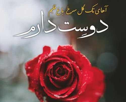 عکس پروفایل دوست داشتن