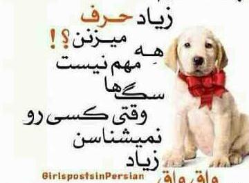 عکس پروفایل پشت سرم