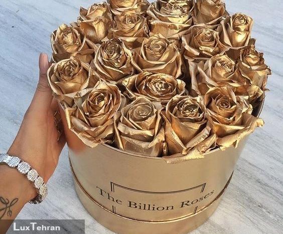 عکس وسایل لاکچری