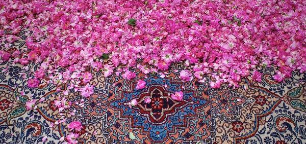 عکس جاهای دیدنی عنصرود