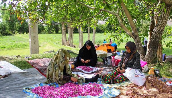 عکس جاهای دیدنی عنصرود