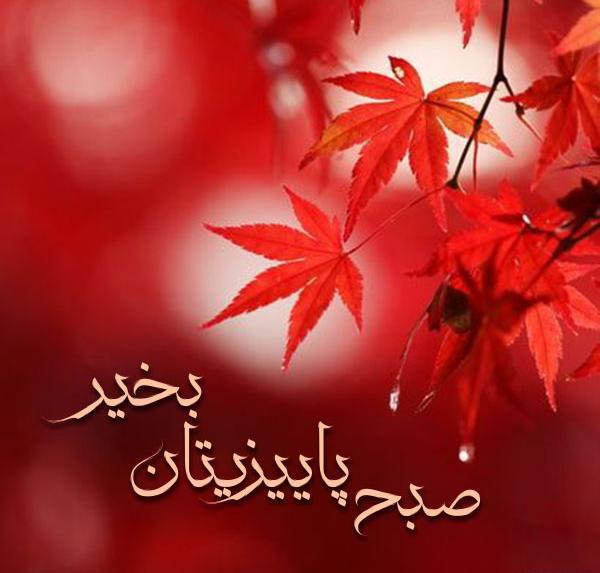 عکس نوشته صبح پاییز
