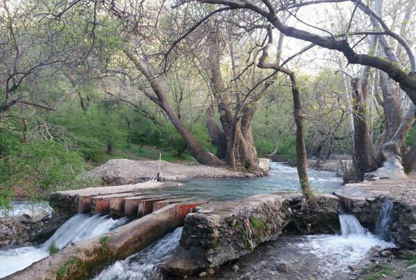 عکس جاهای دیدنی نهاوند