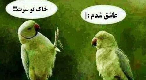 عکس نوشته خاک تو سرت