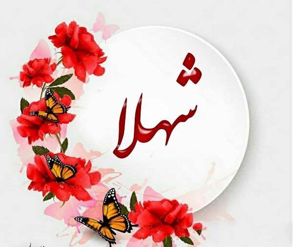 عکس پروفایل مامان شهلا