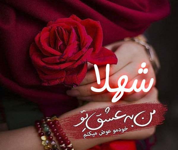 عکس پروفایل مامان شهلا