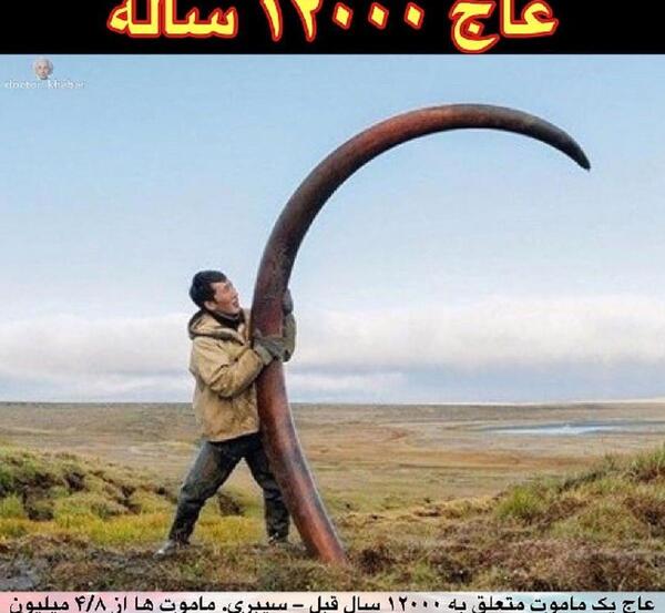 عکس غول