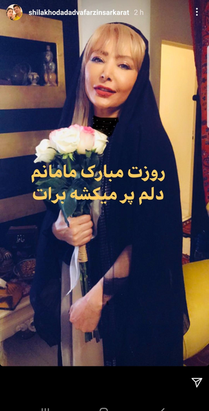 عکس های لاکچری شیلا خداداد
