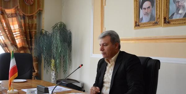 عکس شاهین علیزاده