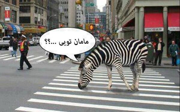 عکس پیاده روی خنده دار