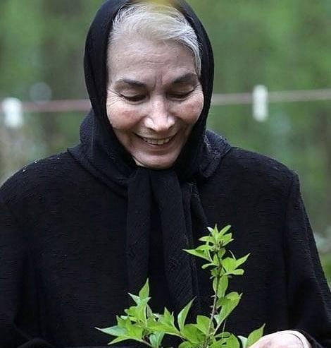 عکس جدید پروانه معصومی