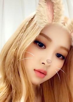 عکس گروه بلک پینک رزی