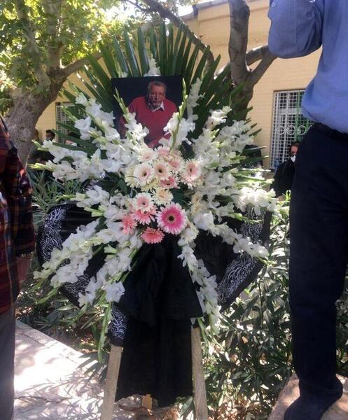 عکس عروسی بهمن مفید