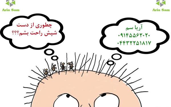 عکس کارتونی شپش سر