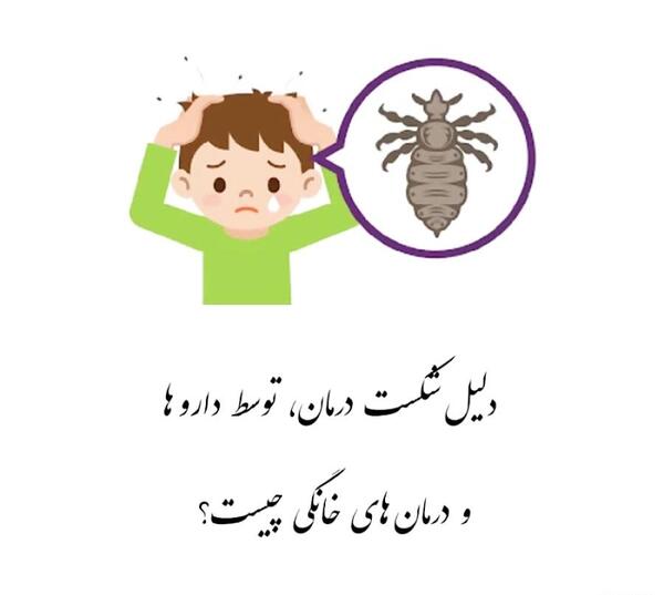 عکس کارتونی شپش سر
