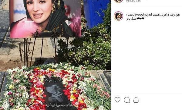 عکسهای عسل بدیعی و پسرش