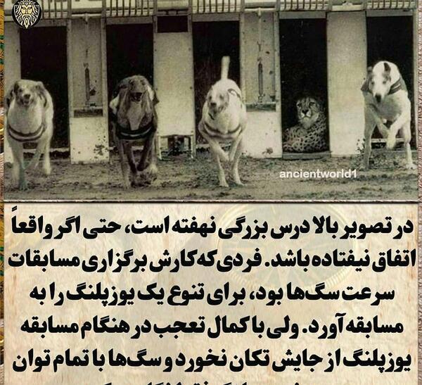عکس پروفایل فرق داشتن