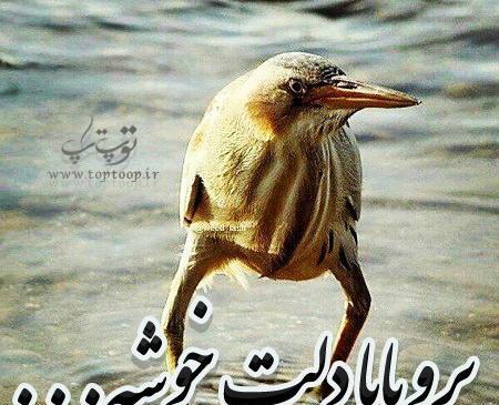 عکس پروفایل برو بابا دلت خوشه