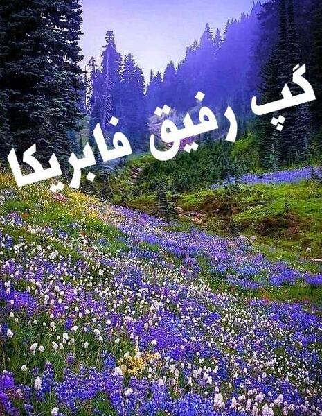 عکس گروه رفیق فابریکا