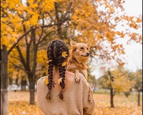 عکس روباه فانتزی برای پروفایل