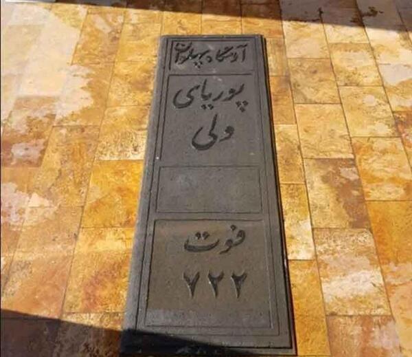 عکس واقعی پهلوان پوریای ولی
